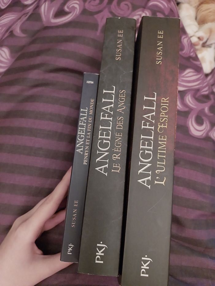 Romans Trilogie complète Angelfall tomes 1 à 3 Susan Ee Pocket Jeunesse - photo numéro 5