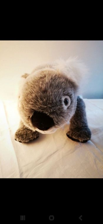 Peluche koala