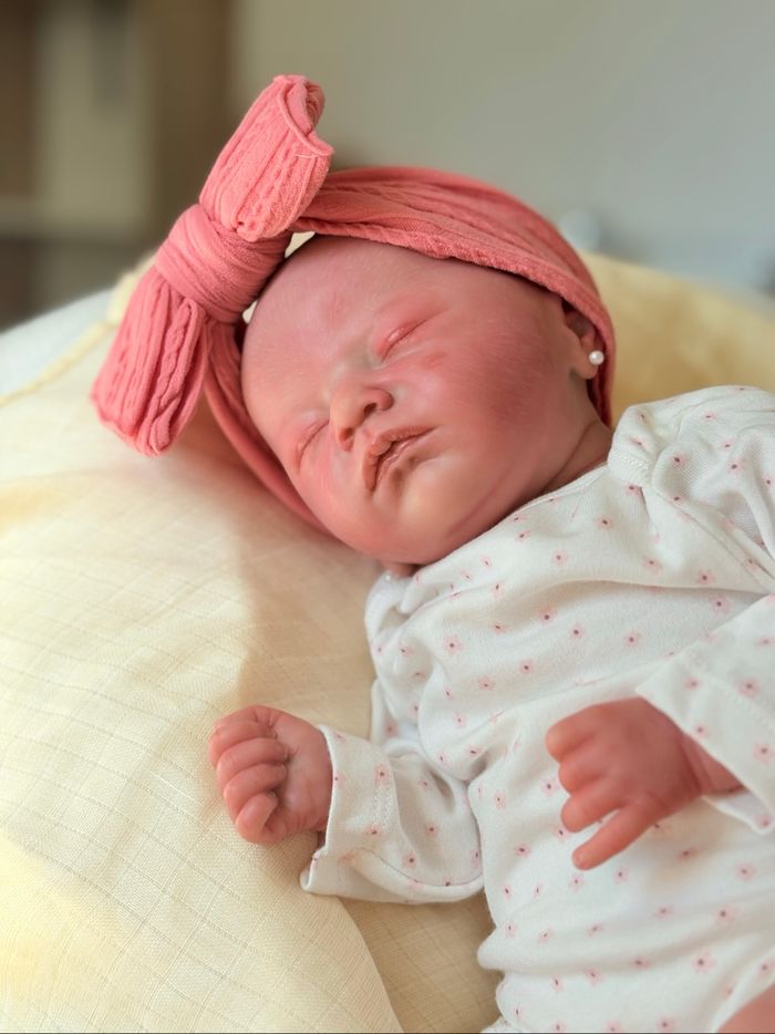Bébé Reborn