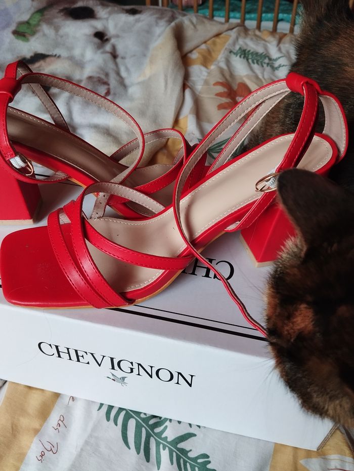 Escarpins - photo numéro 2