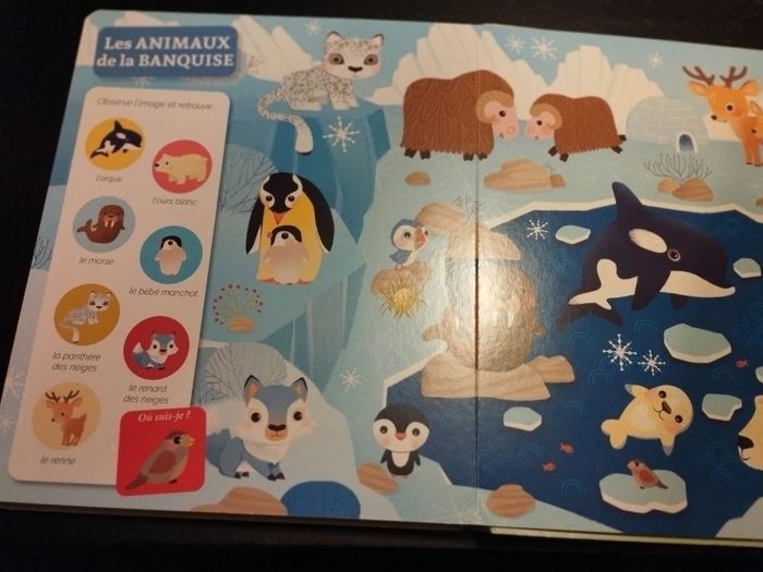 Livre Auzou Éveil cherche et trouve des tout-petits Chez les animaux - photo numéro 4