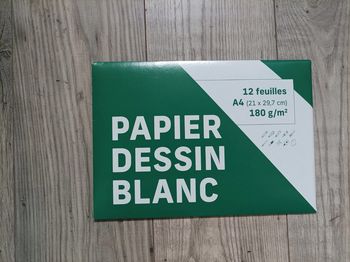 12 feuilles papier dessin blanc (canson) neuf