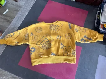 Pull molletonné