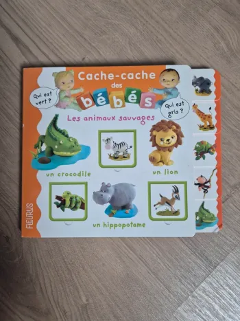 Livre Cache Cache des bébés