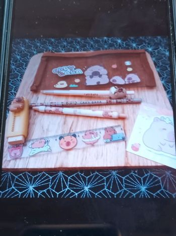 Trousse Capybara et ses accessoires