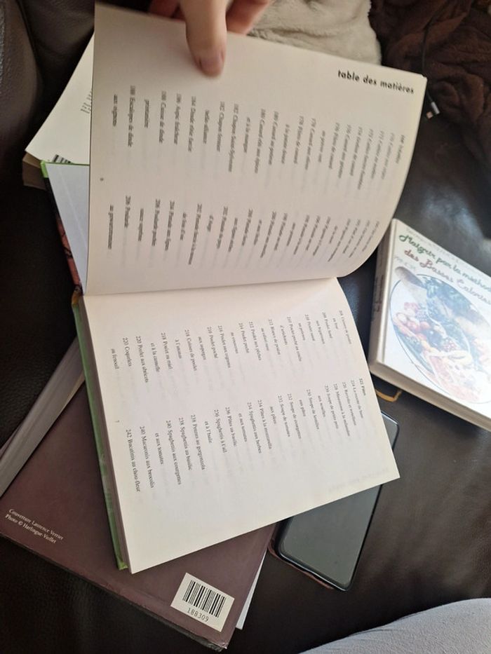 Gros livre de recette traditionnelle - photo numéro 9