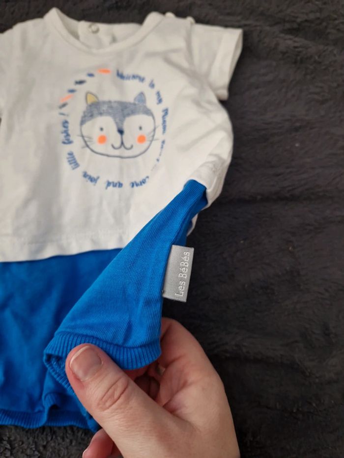 Grenouillère - photo numéro 2