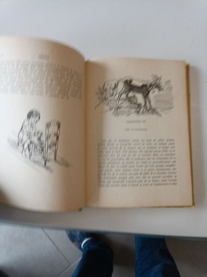 Heidi - photo numéro 7