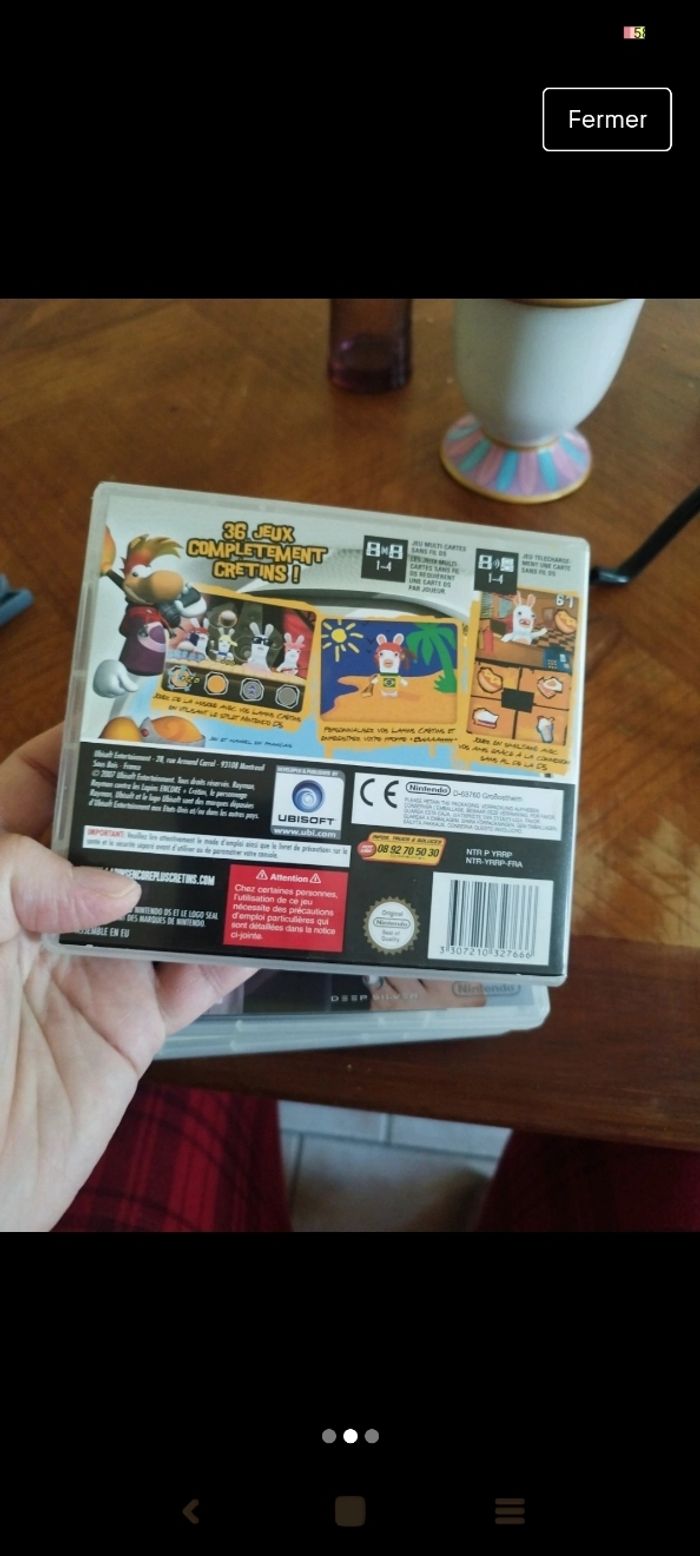 Lapin cretin - photo numéro 2