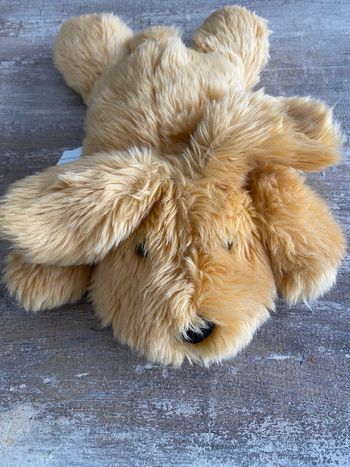 Peluche doudou chien enfant doux