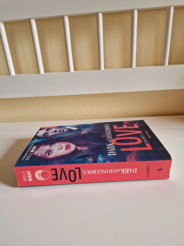 Livre romance fantastique - photo numéro 3