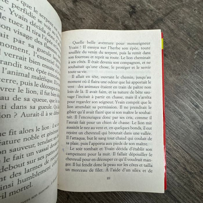 Yvain, le chevalier au lion - photo numéro 7