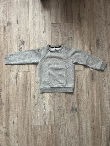 Pull 2/3 ans
