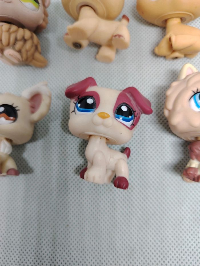 Lot petshop Littlest petshop - photo numéro 3