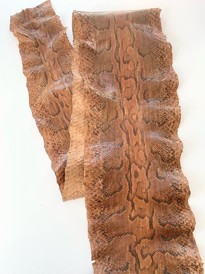 Véritable peau de serpent 🐍 tannée