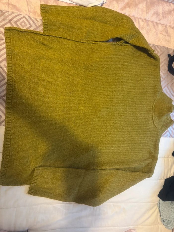 Pull mango - photo numéro 2