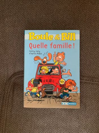 Livre Boule et Bill quelle famille !