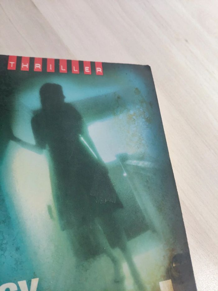 Livre grand format la vierge de small plains Pickard - photo numéro 7