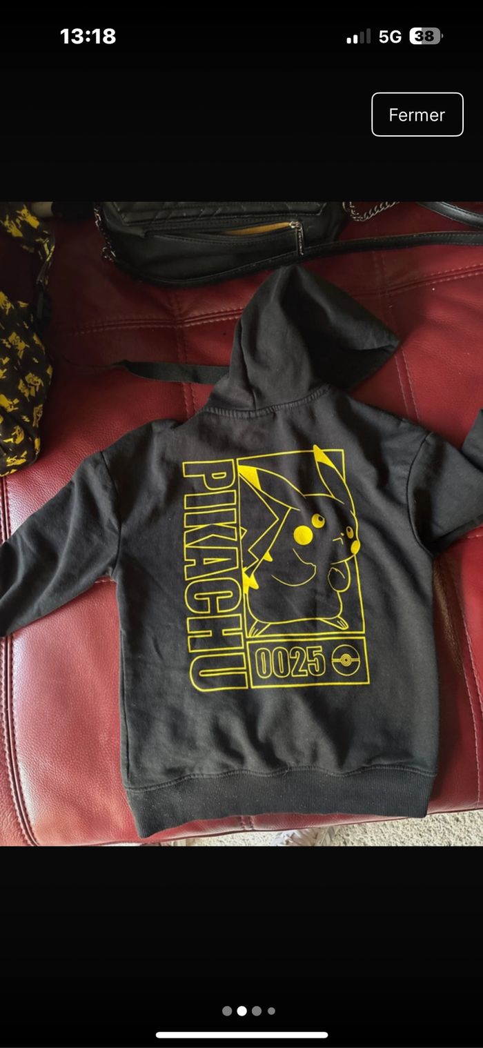 Pull Pokémon - photo numéro 2