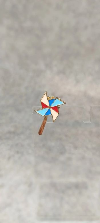 🍄 pins moulin à vent