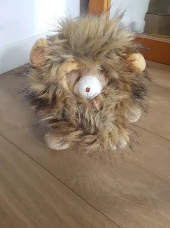 Peluche ours / lion