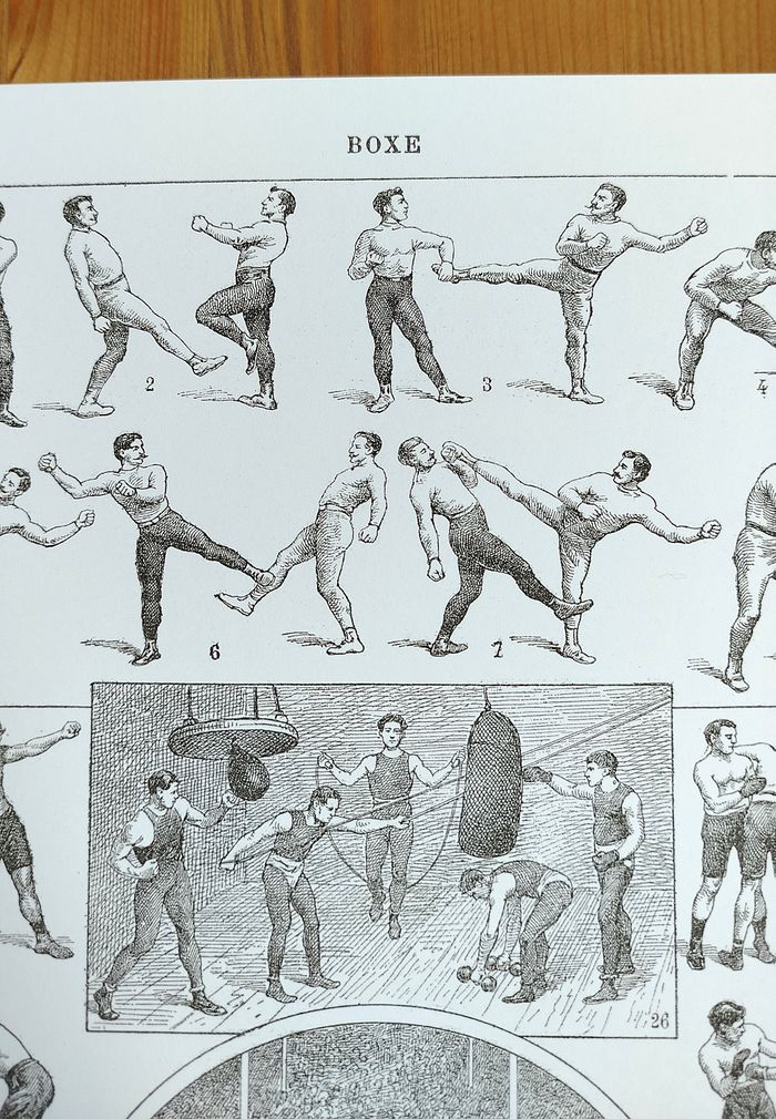 🥊Affiche sur la boxe, d'après une lithographie de 1922 - photo numéro 5
