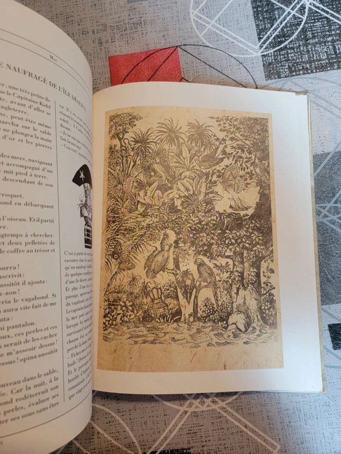 Le petit navigateur illustré - photo numéro 8