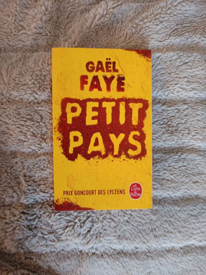 Petit pays de Gaël Faye