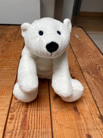 Petit ours en peluche