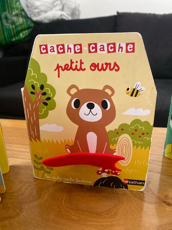 Lot de 5 livres cache cache