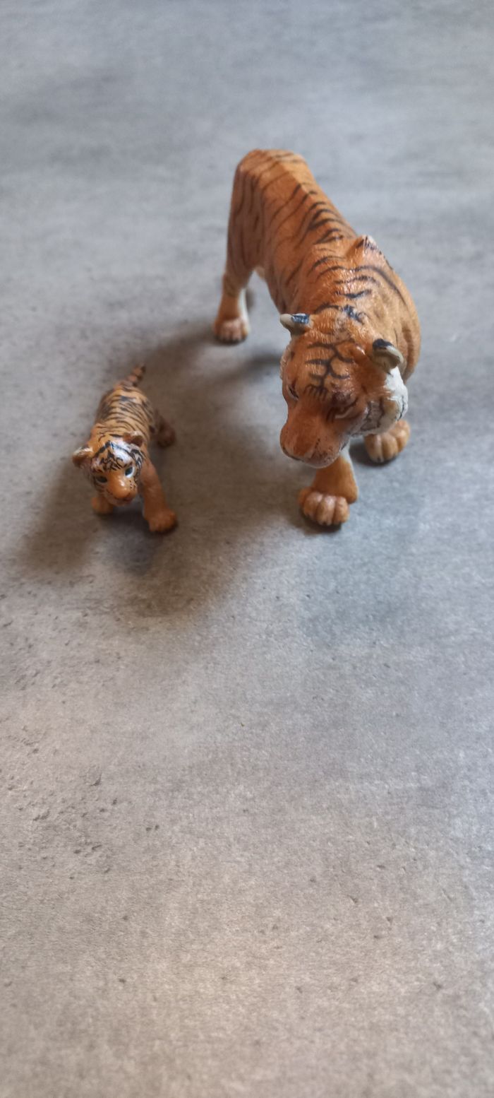 Tigre et son petit papo