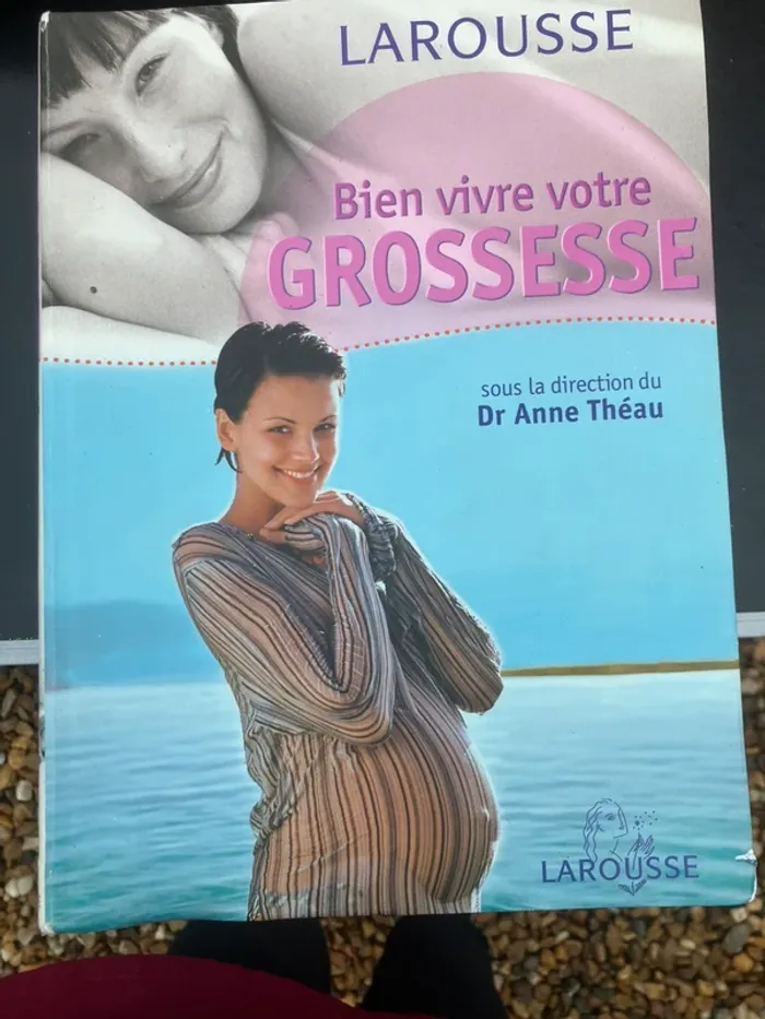 Lot livre sur la grossesse - photo numéro 6