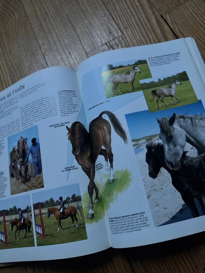 Livre l’Atlas du cheval et du cavalier - photo numéro 5