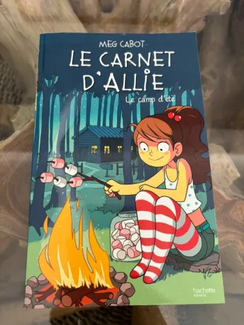 Livre Le carnet d'Allie Le camp d'été