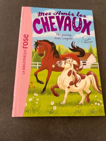 Livre bibliothèque rose mes amis les chevaux tome 26