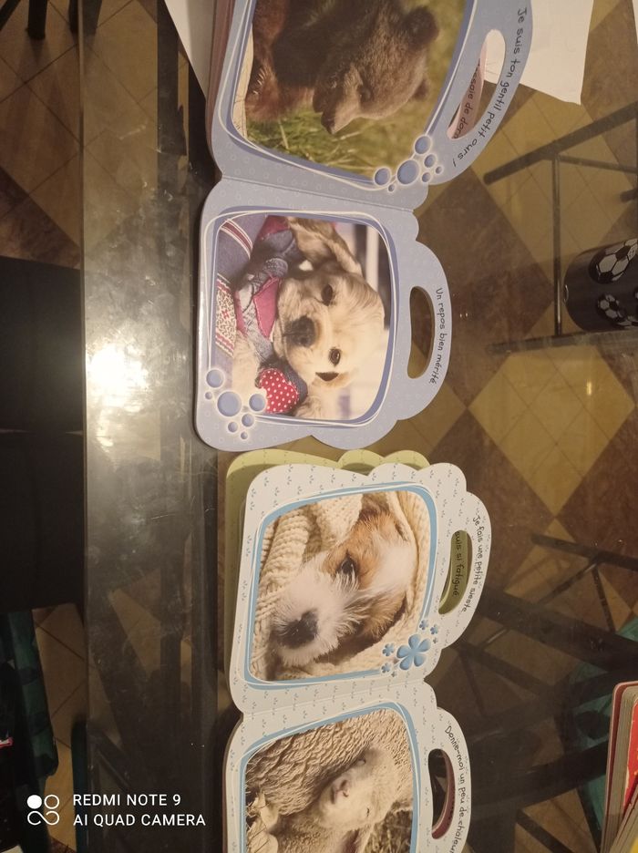 Livre bébé sur les animaux