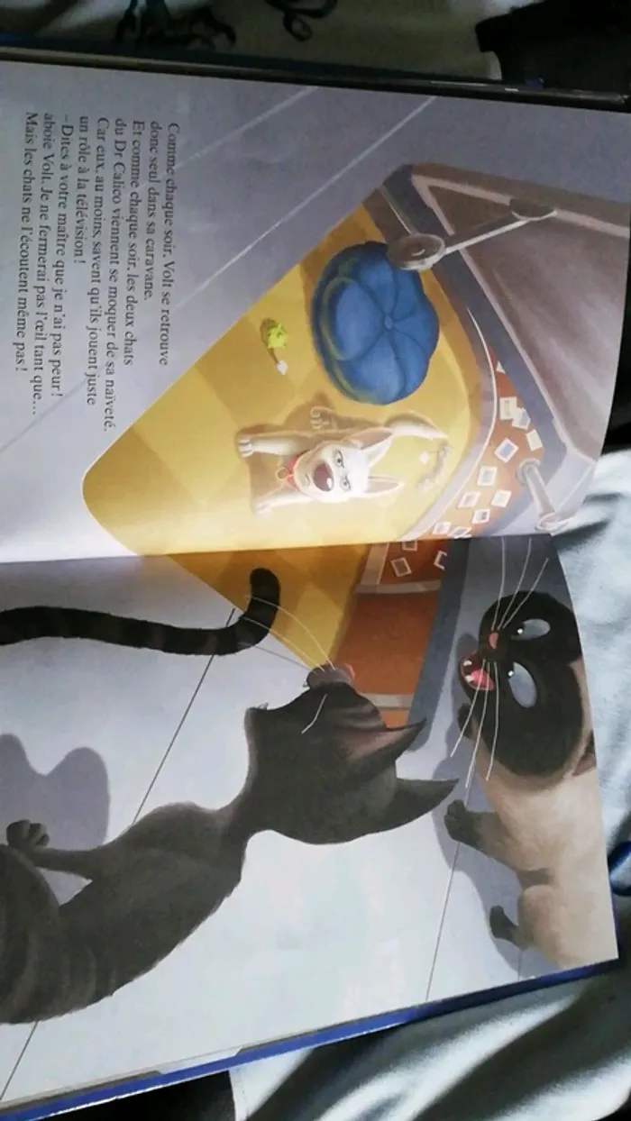 Livre Disney - photo numéro 2