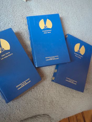 Lot 3 livres Grands Écrivains