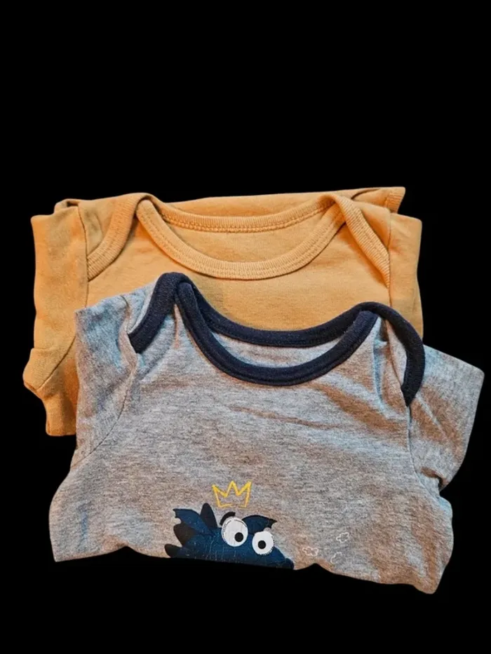 Lot de 2 bodies orchestra orange et gris - 12 mois
