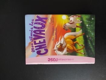 📘 Livre Mes amis les chevaux – Très bon état