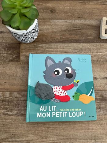 - Au lit mon petit loup  - bon état
