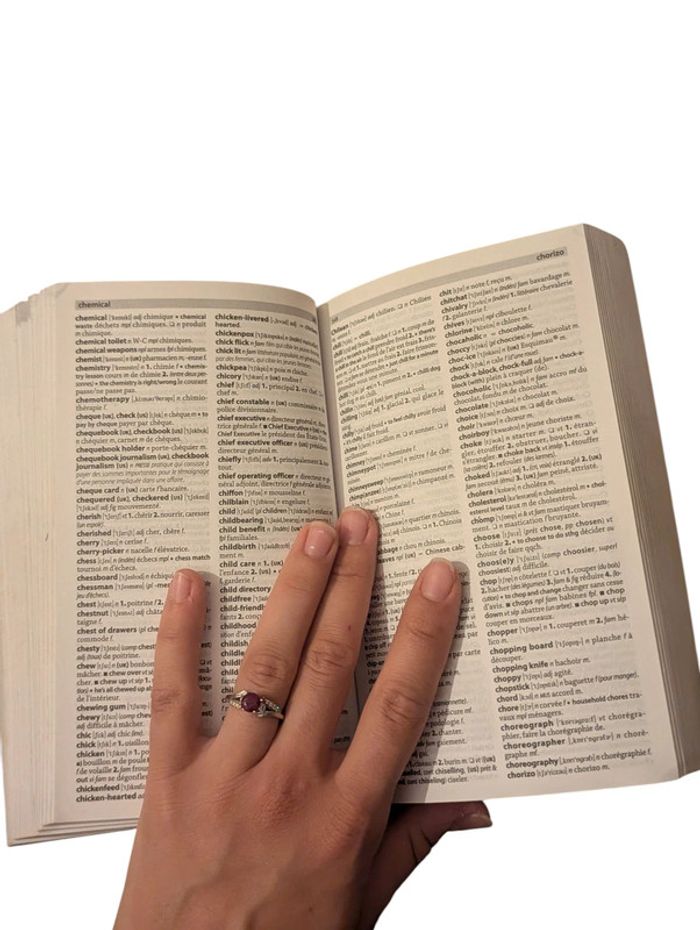 Dictionnaire anglais français Larousse - photo numéro 5