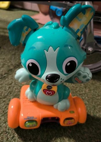 Mon chien hoverboard 