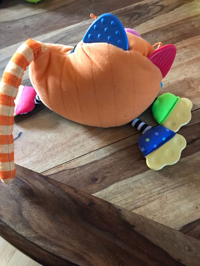 Chat activités - photo numéro 3