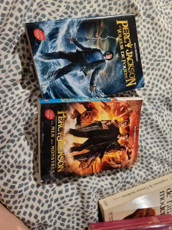 Livre Percy Jackson