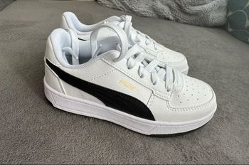 Basket puma 31