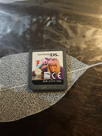 Mot flèches Nintendo ds