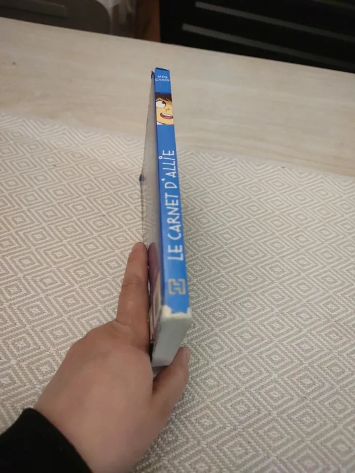 Le carnet d'allie vacances a paris - photo numéro 2