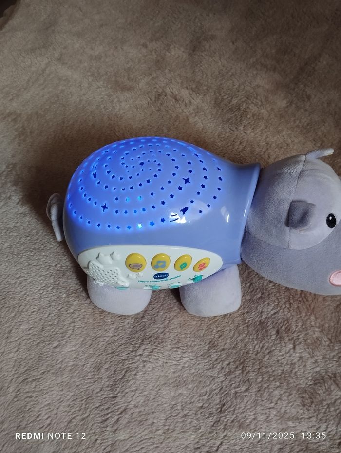 Hippopotame musical - photo numéro 4