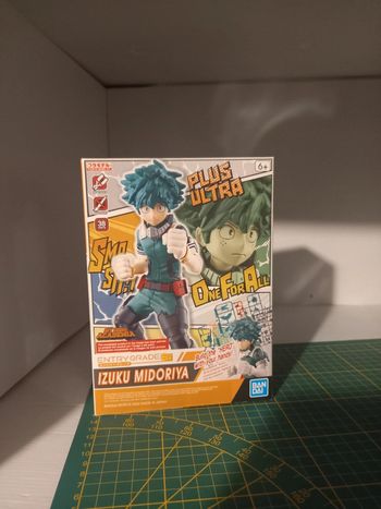 Entry grade midoriya